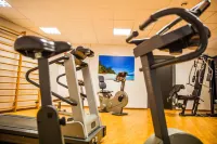 Hotel Glis - Gym