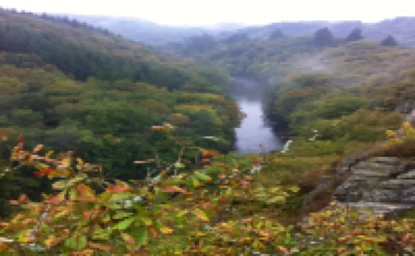 Lodge in Ardennes Near la Roche Center