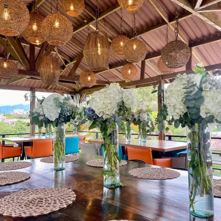 Dreams Hotel Campestre