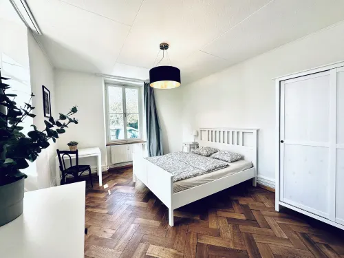 Business Apartment Derendingen - Homestays