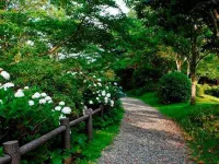 Hashiguchi Ryokan Hotels in Shinkamigoto
