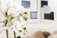 GuestReady - Funchal Getaway - Apartment