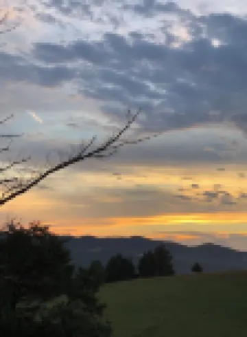 Harrogate Home Mountain View’s Dog Friendly