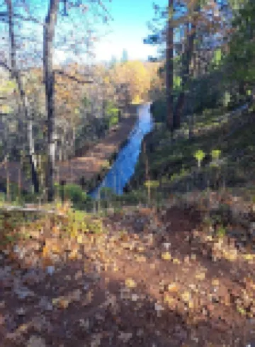 Cute RV in the  forested mountains at Cedar Ridge,  Sonora for your vacation.