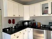 Terrific 1-bedroom private apartment in Berkeley, super sunny and close to all