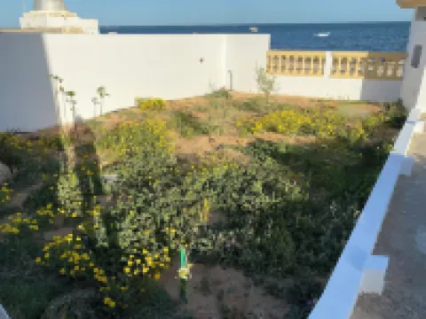 Luxury beach apartment near the coast 酒店