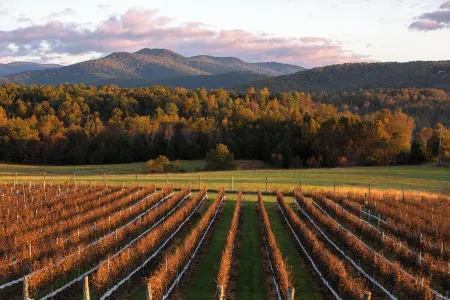 Beautiful townhome in welcoming Luray, only min to Caverns and Shenandoah Valley Отели в г. Лурей