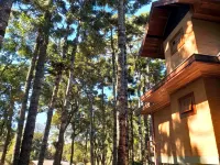 Araucaria Forest 聖本托多薩普卡爾住宿飯店