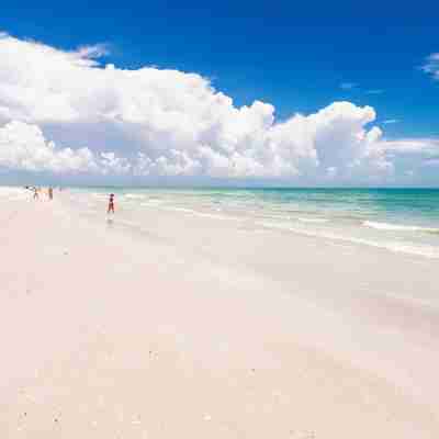 Newly Renovated Penthouse  with Beautiful Views of the Gulf! Fitness & Recreational Facilities