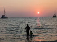 Diamond in Wine Country