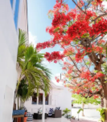 Villa Azul - Ocean Views Villa 4