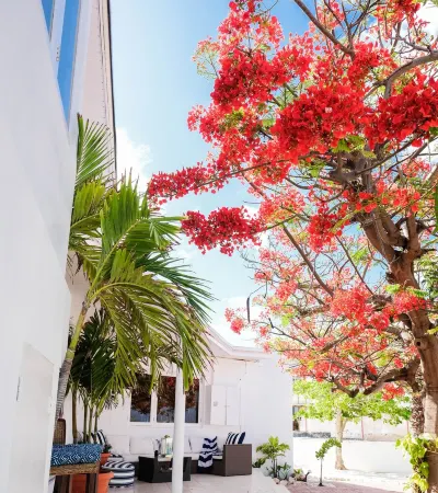 Villa Azul - Ocean Views Villa 4