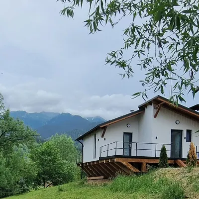 Charming Cabin Bran 1-bedroom cabin