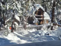 Cozy spacious cabin in Beautiful Wrightwood Hotels in Wrightwood