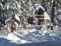 Cozy spacious cabin in Beautiful Wrightwood