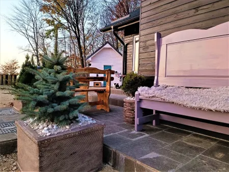 OM Retreat chalet in a secluded secret place in a Natural Reserve Отели в г. Somcuta Mare