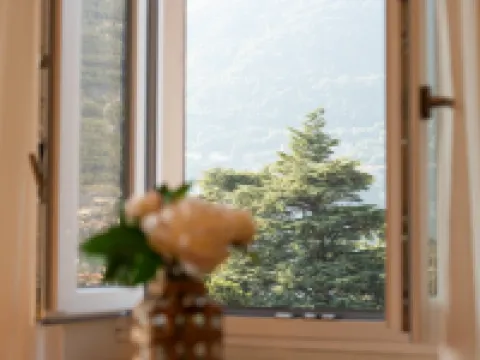 Terrace Over Torno - by MyHomeInComo Hotels in Torno