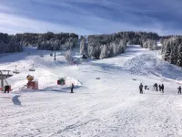 Holidays close to the slopes. Pra-Loup 1600