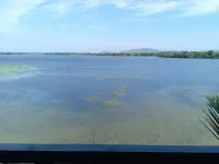 yala treetop lake