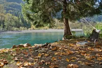 Baring Bend Lodge Hotels in Baring