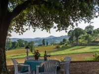 Mansion in Perugia with Pool & Green Hills