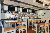 Holiday Inn WESTBURY-LONG ISLAND by IHG - bar