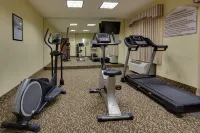 Holiday Inn Express & Suites SEBRING by IHG - Phòng tập thể hình