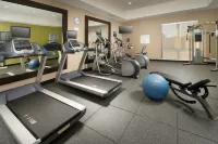 Holiday Inn Express & Suites WACO SOUTH by IHG - Gym
