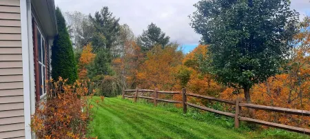 Mountain Retreat in Blue Ridge Mountains. Privacy!  Owner Managed. Отели в г. Пайн Суомп