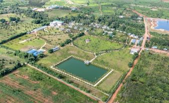 Samanea Wellness Resort