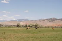 Updated Main St Apt Near Fishlake and Capitol Reef!