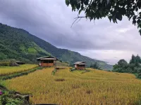 To Ech Homestay - servizio colazione