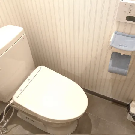 MEIHAN ROYAL HOTEL Отели в г. Ига