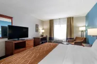 Comfort Inn & Suites Lees Summit - Kansas City - Wifi