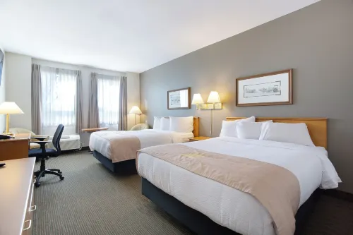 Lakeview Inns & Suites - Okotoks - Wifi