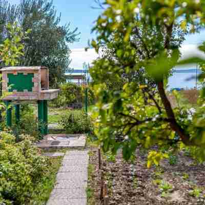 House Zeljka Hotel Exterior