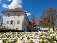 Old Town Guest Accommodation Hotels in Kranj