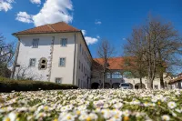 Old Town Guest Accommodation