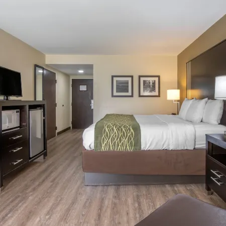 Comfort Inn Near Downtown & Blue Ridge Pkwy