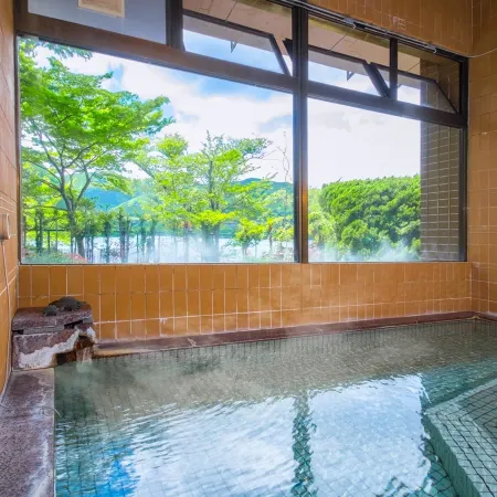 Forest Resort Sarugakyo Seikoso