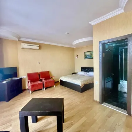 Zarina Hotels