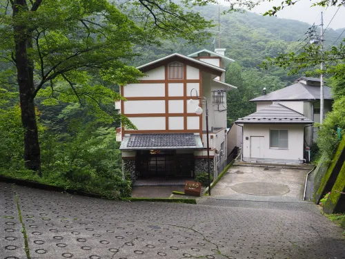 Akagi Onsen Hotel - วิว