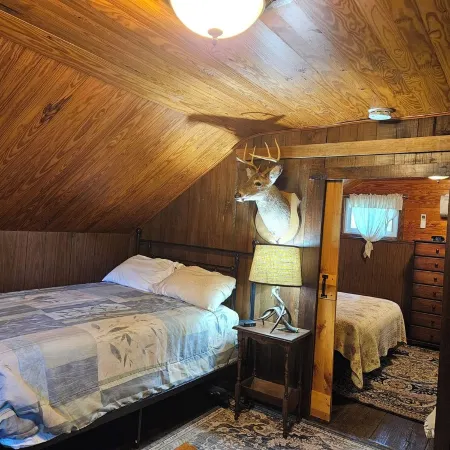 Historic pet friendly cabin with shooting range, and ATV trails on 80 acres.