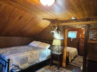 Historic pet friendly cabin with shooting range, and ATV trails on 80 acres. - 2-Star