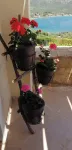Cozy Apollon Villa, Sea View, Next to Galaxidi - Ocean View