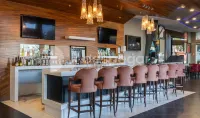 HS Hotsson Hotel Irapuato - bar