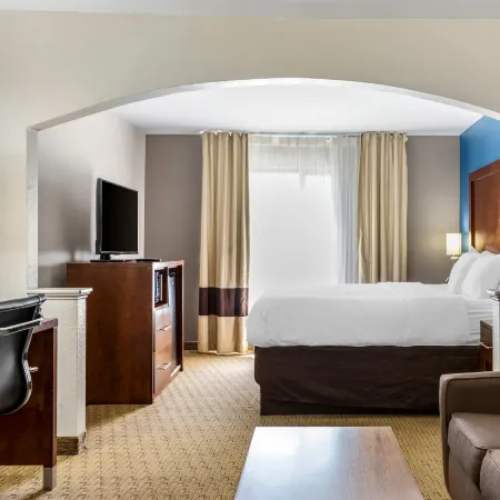 Comfort Inn Garner Clayton I-40