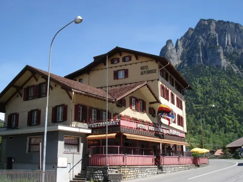Alpenrose - Wifi
