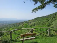Belvedere
