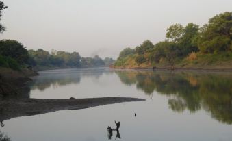 Jungle Resort,Udaygiri